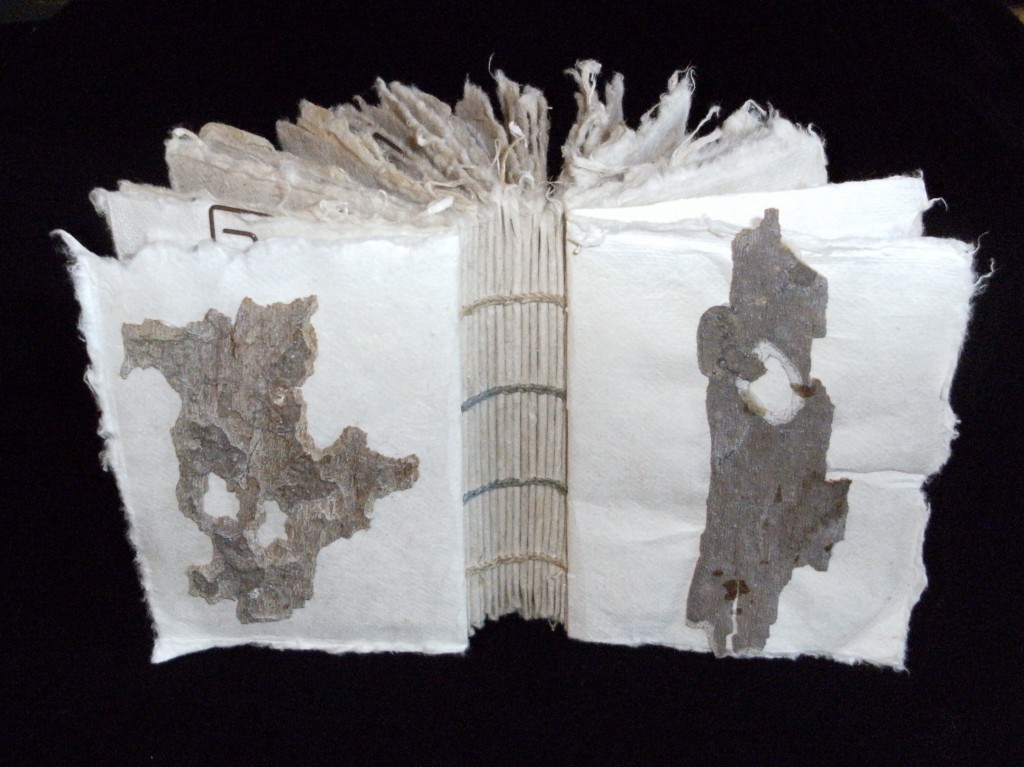 The Art of Books » Handmade Artist’s Books